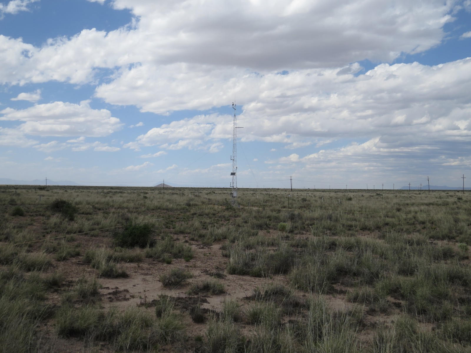 Photo of the Holloman AFB, NM (DoD) Network site showing the meteorological tower.