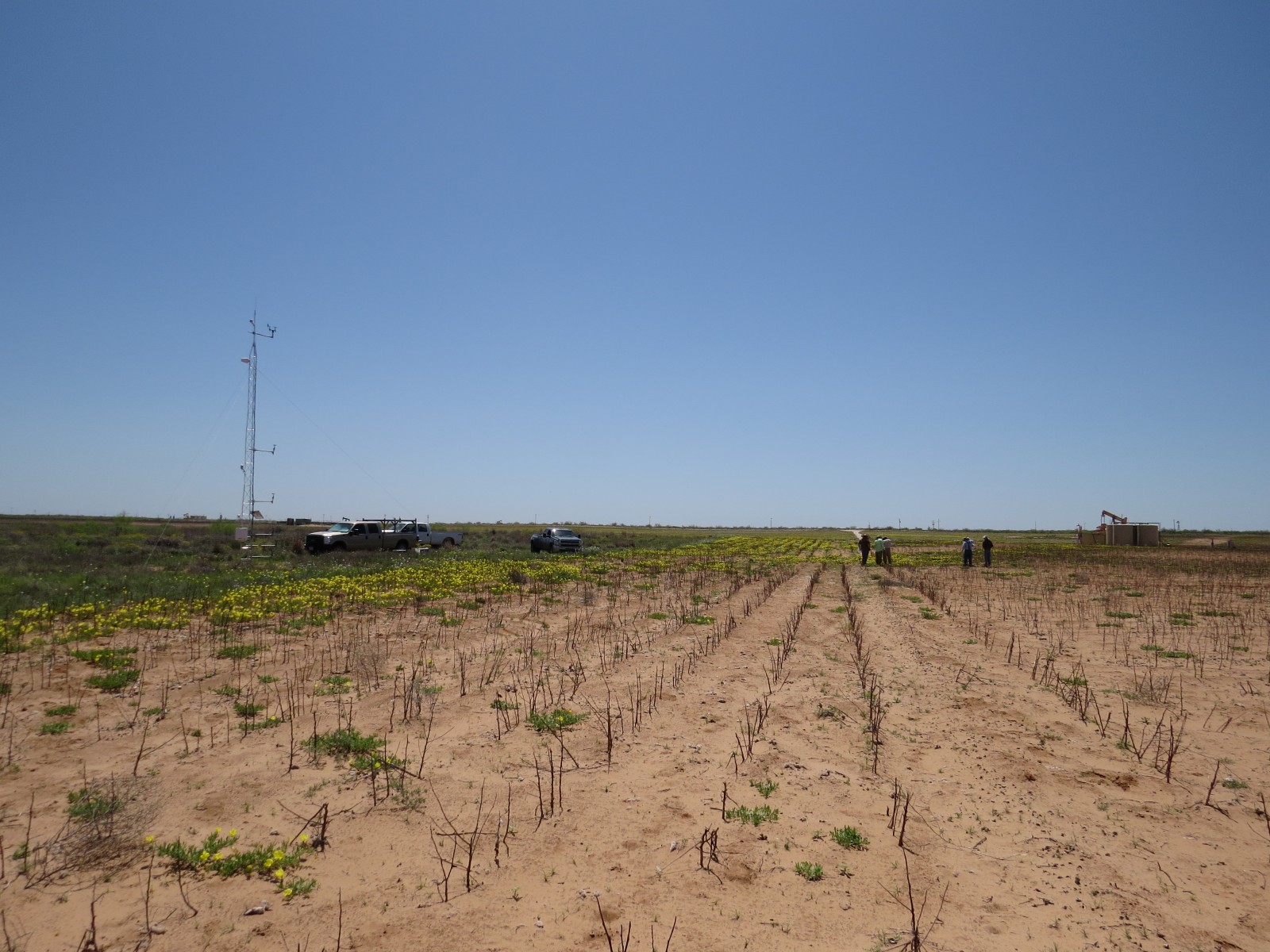 Photo of the Big Spring (ARS) Network site showing affiliates conducting vegetation survey training.