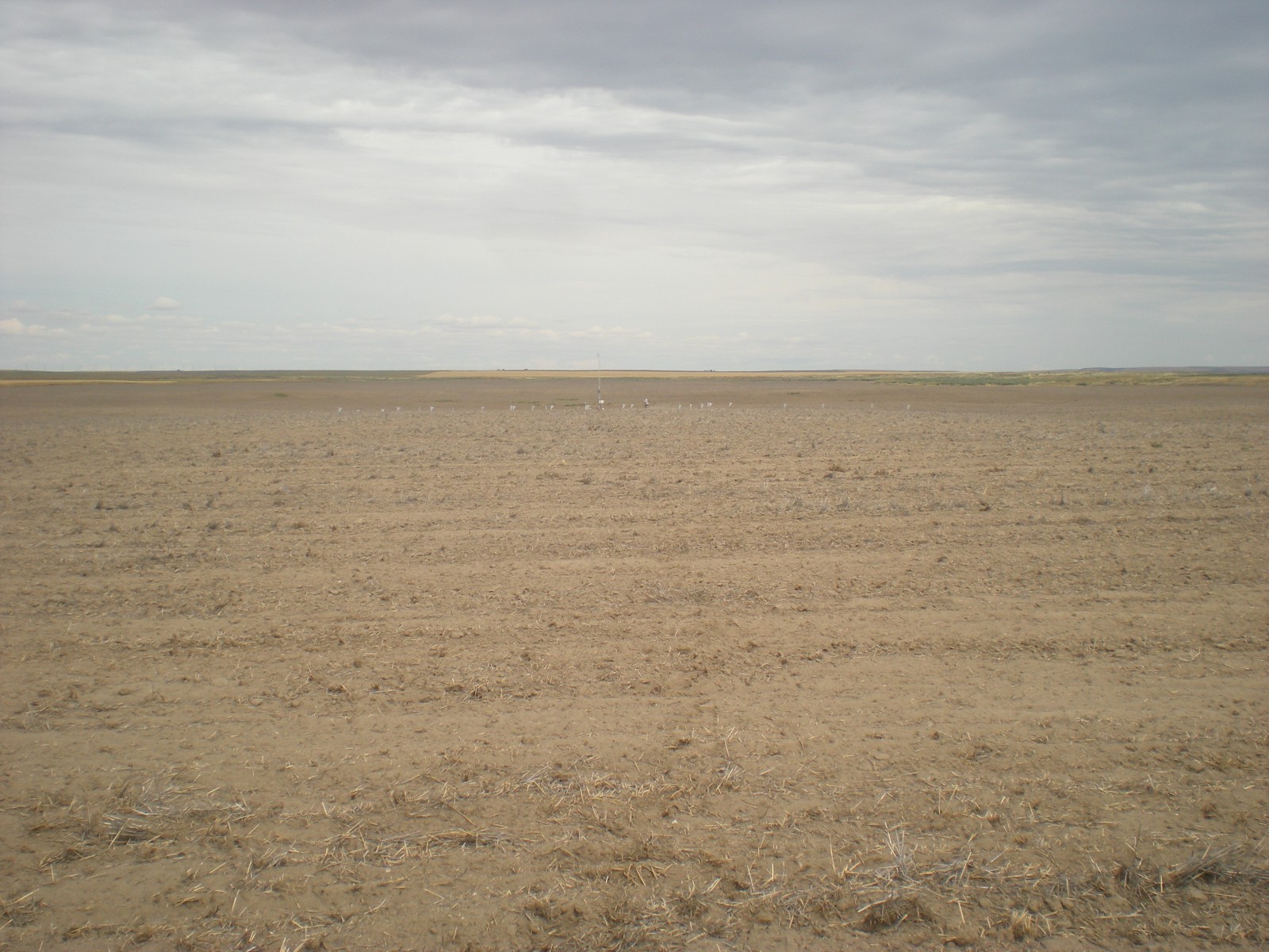 Photo of the Pullman Northwest Sustainable Agroecosystems Research Unit (LTAR) Network site showing the landscape view looking north to the site.