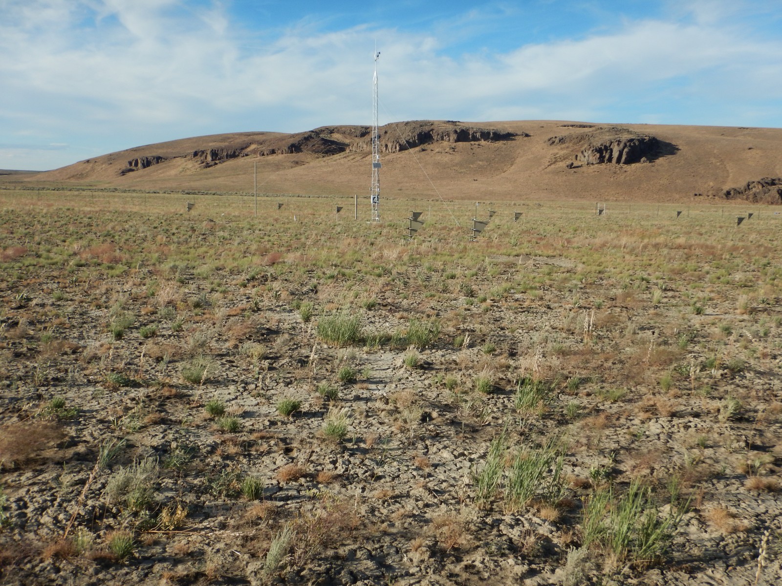 Photo of the Red Hills (ARS) Network site.
