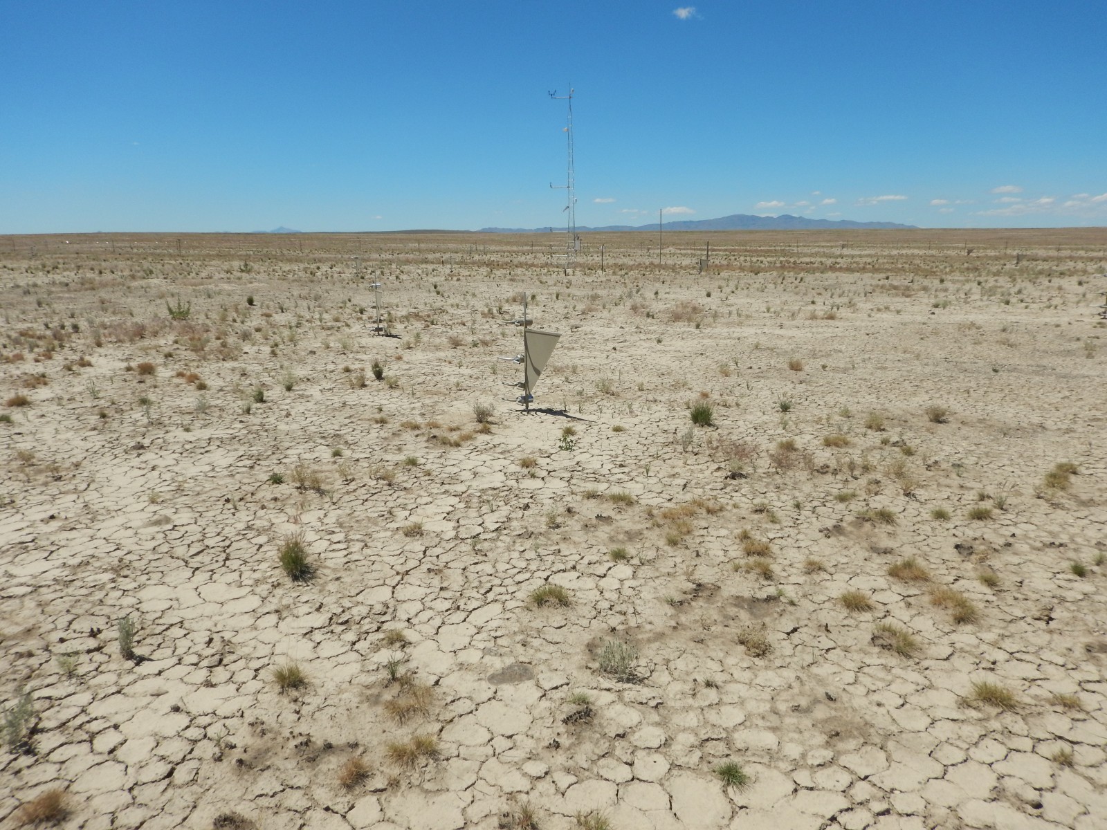 Photo of the Twin Valley (ARS) Network site.